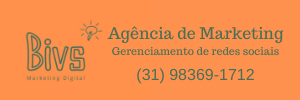 Agencia Marketing BIVS